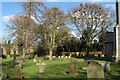 Trees in Weston Churchyard in NR34 8TT