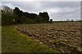 Saxlingham Green: Ploughed fields at Grove Farm in South Norfolk District