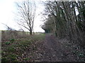 Bridleway, Clark's Hill in SG5 3BU