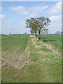 Field Boundary in CB10 1RP