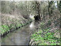 The River Pinn near Woodville Gardens, HA4 in HA4 7DQ