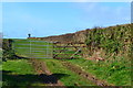 Field gate between houses at Strete in TQ6 0RU