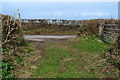 End of footpath in TQ7 2ND