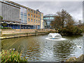 Lake Outside Sunderland Museum and Winter Gardens in SR1 2QW