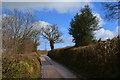 Mid Devon : Country Lane in EX17 4JU