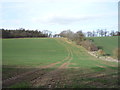 Farmland north of the B655 in SG5 3BJ