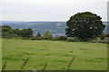 View north from Bonsall Lane in Derbyshire