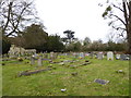 St Mary, Aldermaston: churchyard (a) in RG7 4LR