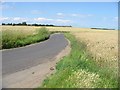 Road through the corn fields in CT3 4FY