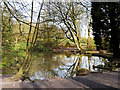 Pond in the Dell at Heaton Park in M25 2GS