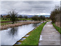 Canal Towpath Between Radcliffe and Bury in M26 4FQ