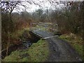 Footbridge over burn in G83 9EY