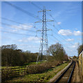 Pylon by the railway in Rothley Brook Ward