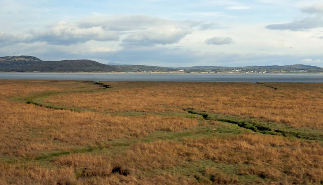 Saltings Near Grange-Over-Sands in LA11 7AF