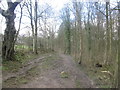 Harrogate Ringway in Bathing Well Wood in HG2 8EE