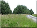 Forest track and footpath near Craigshield in NE48 3DS