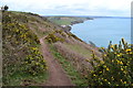 Coast path near Start Farm in TQ7 2ET