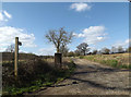 Footpath to Stone Street & entrance to Church Farm in IP6 9RZ