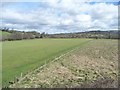 Two sorts of grassland, west of Bitton in BS30 6HU