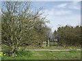 Footpath from Field Head to John's Lee Wood in LE67 9RE
