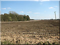 Fields east of North Pickenham Road in PE37 8LB