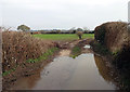 Entrance to farmland by the River Stour in BH21 4EJ