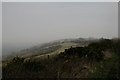 Misty morning on Chitcombe Down in DT11 0EW