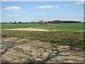 Crop fields by Town Farm in PE32 2EQ