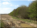 Muddy entrance into a crop field in PE32 2EQ