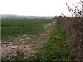 Field boundary south of New Barn Farm in DT11 9JP