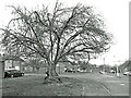Old Cherry Tree, Malcolm Road in UB8 1PF