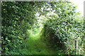 Atherington: footpath to the village in EX37 9BJ