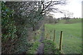 Nidderdale Way along the River Nidd in HG3 2QH