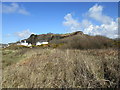 Brambles, houses and Craigengour Hill in Millport