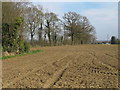 Arable land near Goddards Farm, Great Sampford in CB10 2RU