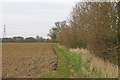 Footpath on field margin near Maynards, Little Sampford in CB10 2QT