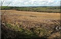 Countryside from Bocaddon in PL13 2PG