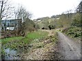 The Thames & Severn Canal, looking eastwards in GL5 2TE