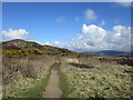 Path and Craigengour Hill in Millport