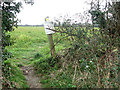 Footpath through a hedge on Threehammer Common in NR12 8BP