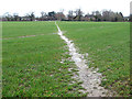 Footpath on Threehammer Common in NR12 8BP