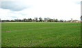 Cereal crop field south of Chapel Road in NR12 8BP