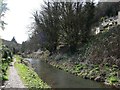 The Thames & Severn Canal, looking westwards in GL6 8AS