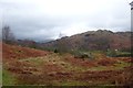 Towards Loughrigg Fell in LA22 9HF