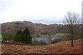Above Loughrigg Tarn in LA22 9HF