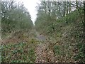 Disused railway line near Papplewick in NG15 8FL