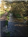Cotswold Way by Tyley Stream in GL12 7NF