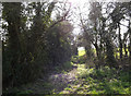 Footpath off the B1077 Helmingham Road in Ashbocking