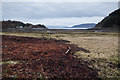 View out to Loch Reraig in IV54 8YL