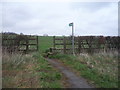 Footpath off the A691 in DH1 5RJ